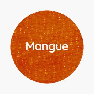 BOBOQ - BOBA MANGUE COLORANT NATUREL SEAU 950G