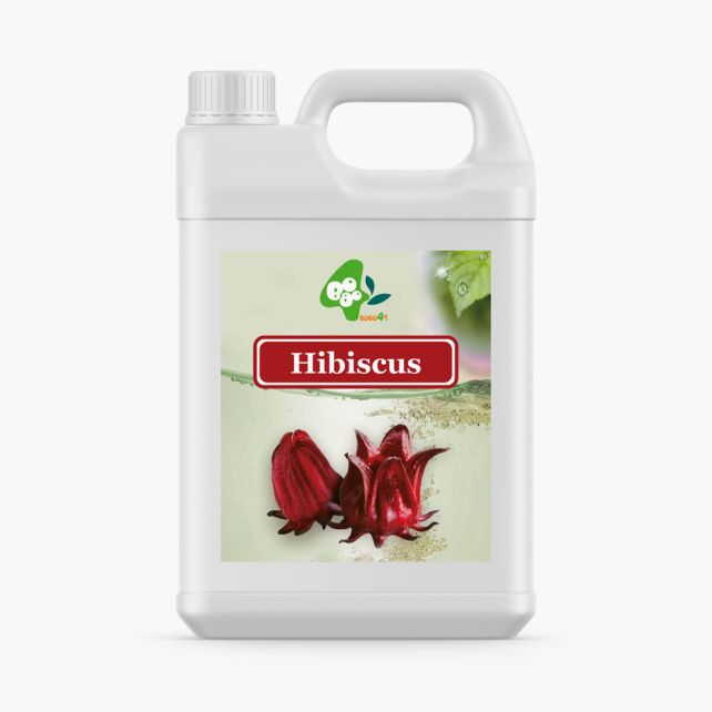 BUBBLE TEA - SIROP HIBISCUS BIDON 2.5KG